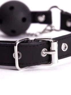 Adjustable Ball Gag & Nipple Clamps