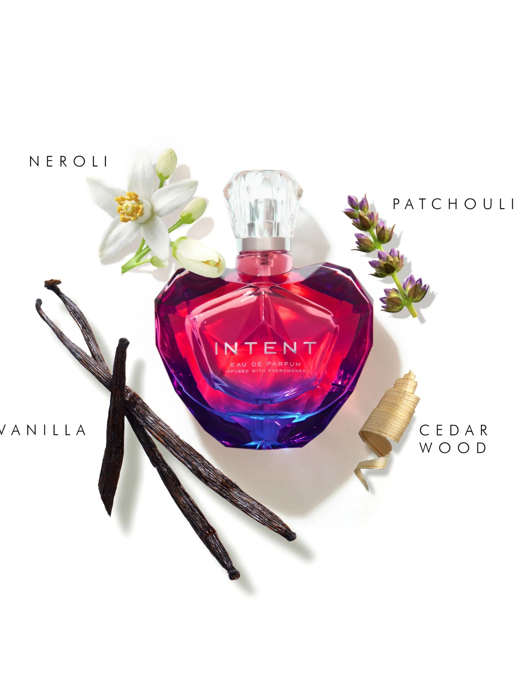 Intent Pheromone Eau De Parfum 100ml