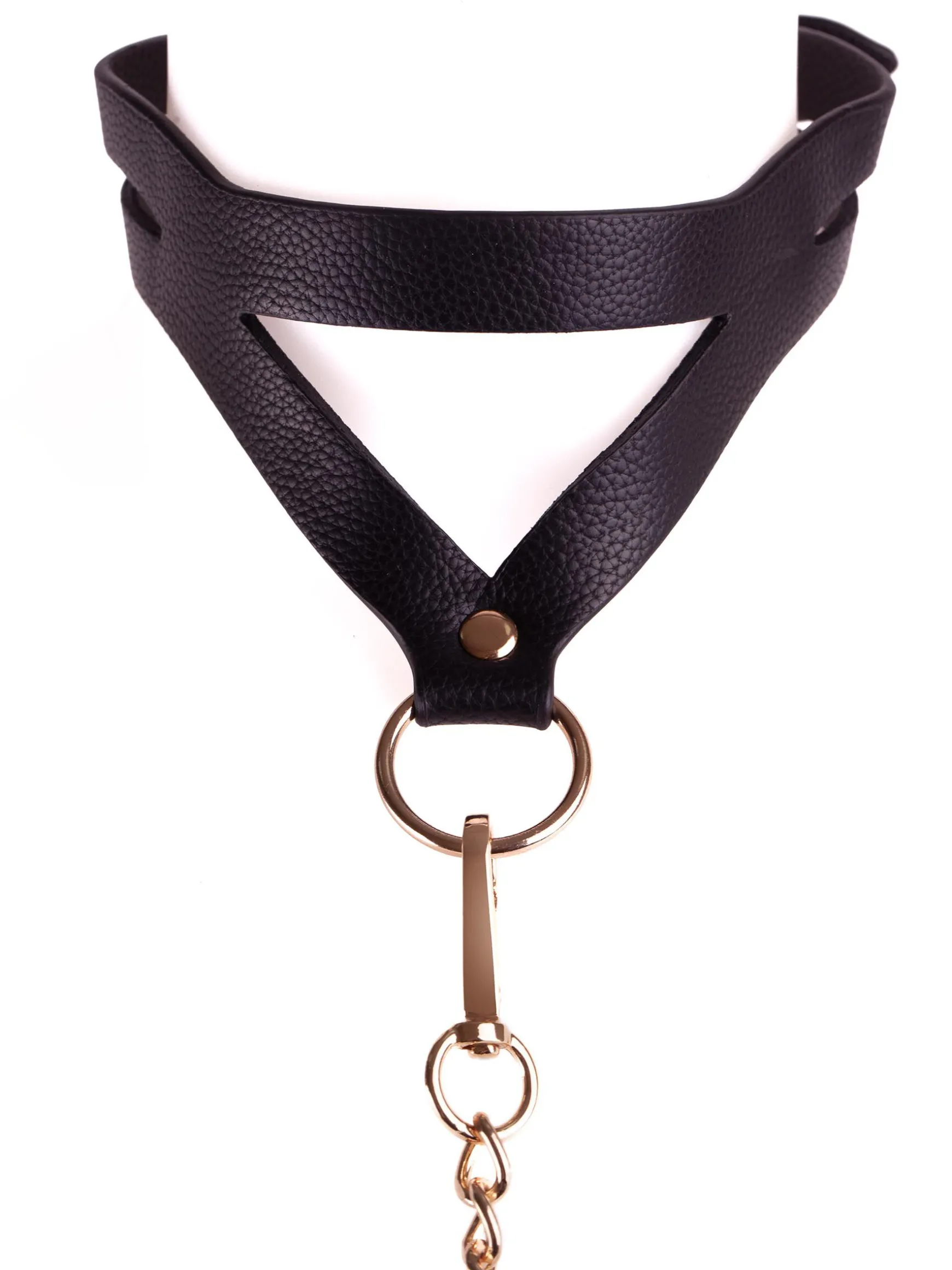 Signature Faux Leather Strappy Collar & Lead