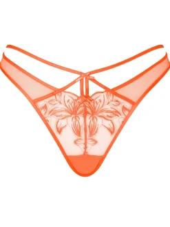 Tangerine Dream Brazilian Knickers - Bright Orange